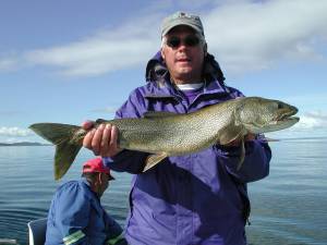 Lake Trout from Lake Pend Oreille