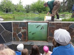 Viewing pond on spring field trip to WaterLife Discovery Center